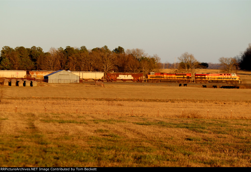 Across the field